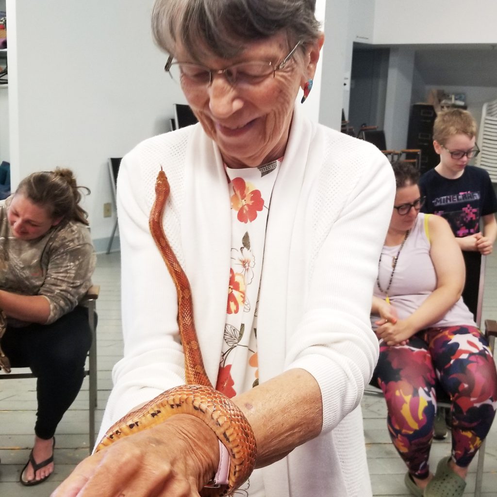 July 2023: Macdonald Museum, Middleton : For Pete's Snakes!