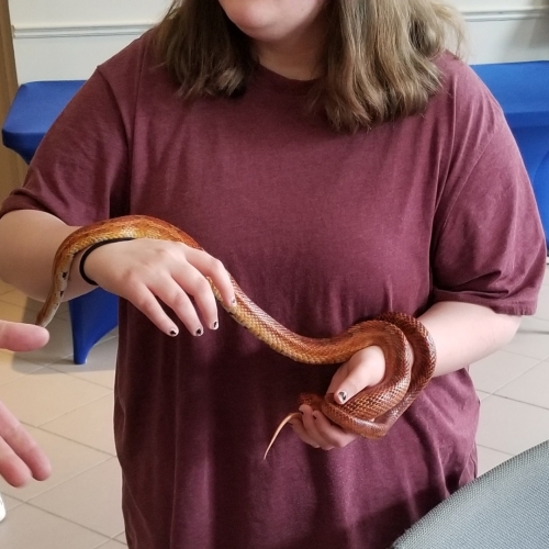 Snake education at Evangeline Middle School (EMS) 013 (1) (1)