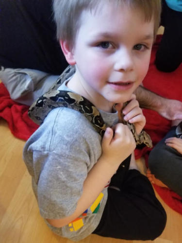 For Pete's Snakes Homeschool Presentation