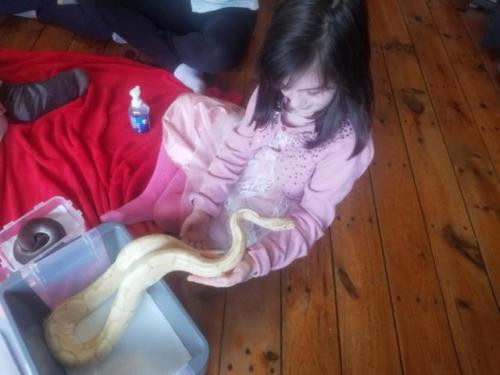 Chloe's Snake/Reptile Birthday Party in Kingston, Nova Scotia