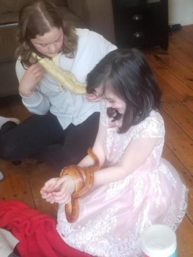 Chloe's Snake/Reptile Birthday Party in Kingston, Nova Scotia