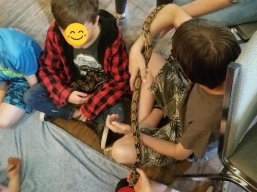 Snake Birthday Party in Sheffield Mills, Nova Scotia