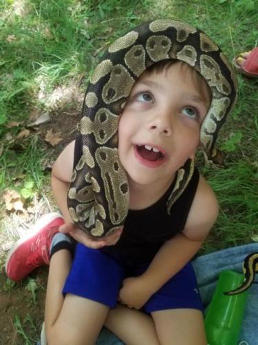 Snake/Reptile Birthday Party in Kentville, Nova Scotia