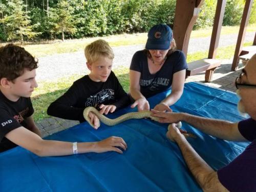 Snake/Reptile Birthday in Port Williams, Nova Scotia