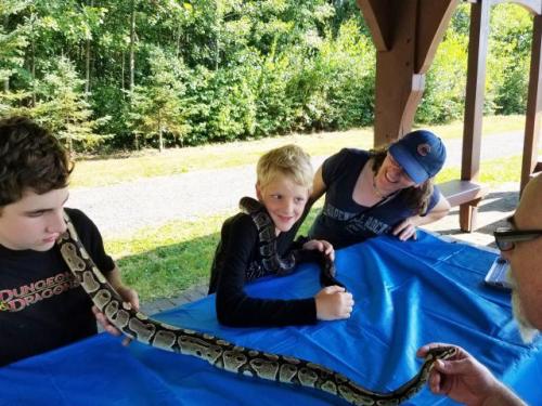 Snake/Reptile Birthday in Port Williams, Nova Scotia