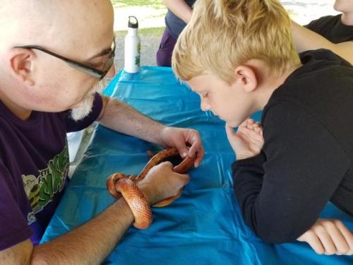 Snake/Reptile Birthday in Port Williams, Nova Scotia