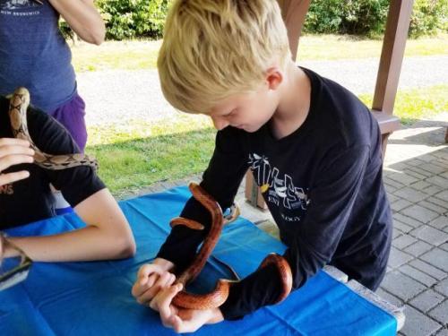 Snake/Reptile Birthday in Port Williams, Nova Scotia