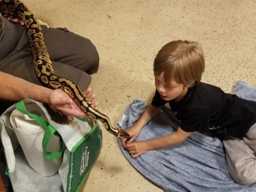 Snake/Reptile Birthday in Wolfville