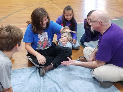 Lunenburg Reptile Birthday Party