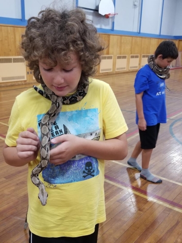 Lunenburg Reptile Birthday Party