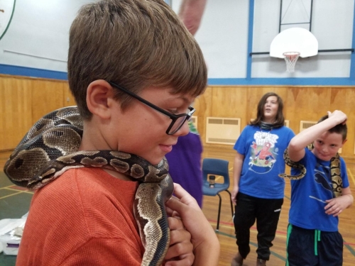 Lunenburg Reptile Birthday Party