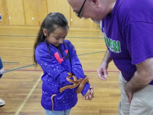 Lunenburg Reptile Birthday Party