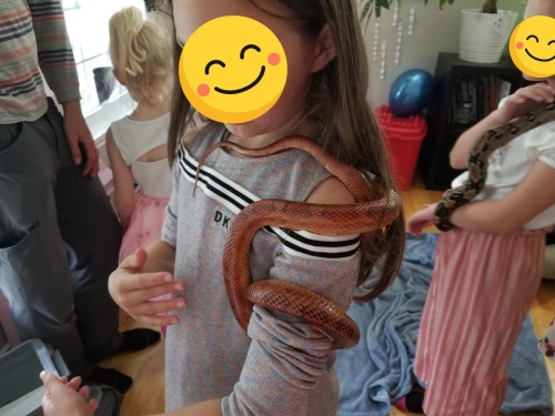 Eastern Passage Snake/ Reptile Birthday party