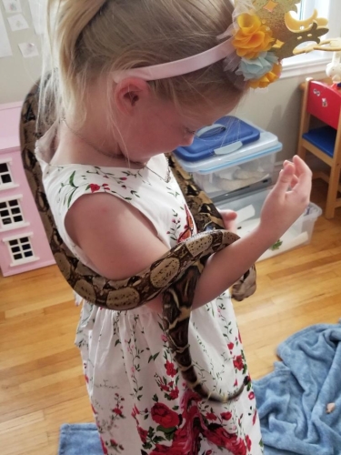 Eastern Passage Snake/ Reptile Birthday party