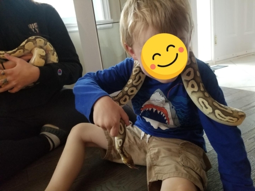 Eastern Passage Snake/ Reptile Birthday party