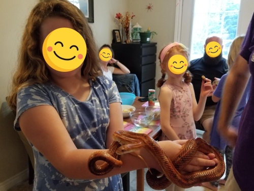 Eastern Passage Snake/ Reptile Birthday party