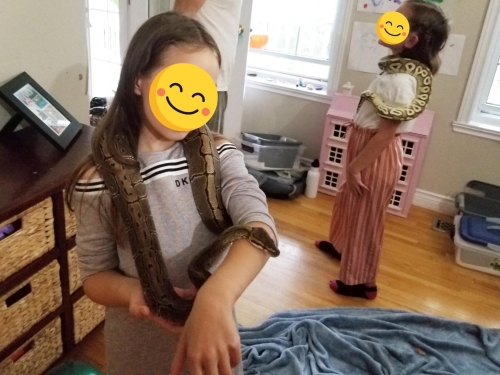 Eastern Passage Snake/ Reptile Birthday party