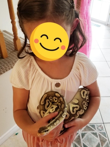 Eastern Passage Snake/ Reptile Birthday party