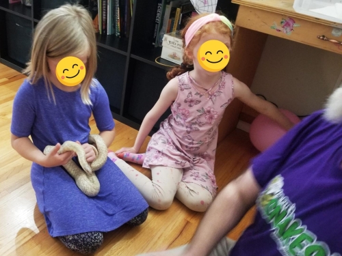 Eastern Passage Snake/ Reptile Birthday party