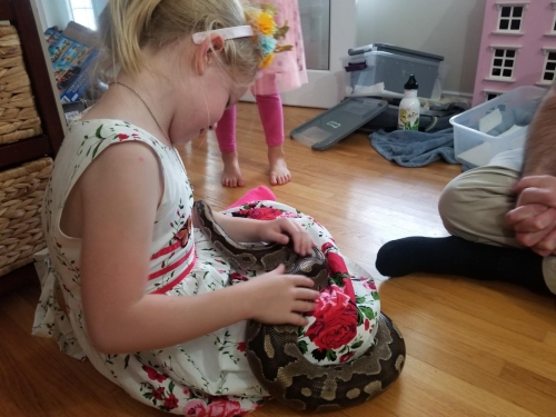 Eastern Passage Snake/ Reptile Birthday party