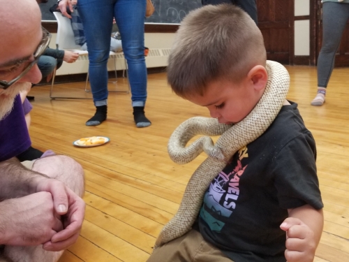 Dartmouth HRM Snake Reptile Birthday Party!