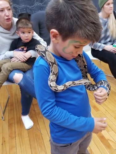 Dartmouth HRM Snake Reptile Birthday Party!