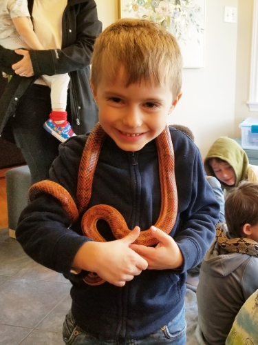 Snake Reptile Birthday Party in Dartmouth, Nova Scotia 20221119 134548