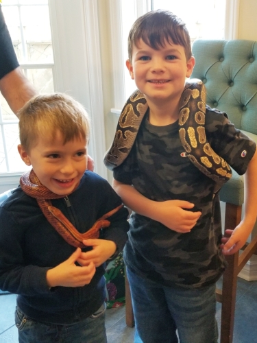 Snake Reptile Birthday Party in Dartmouth, Nova Scotia 20221119 135105