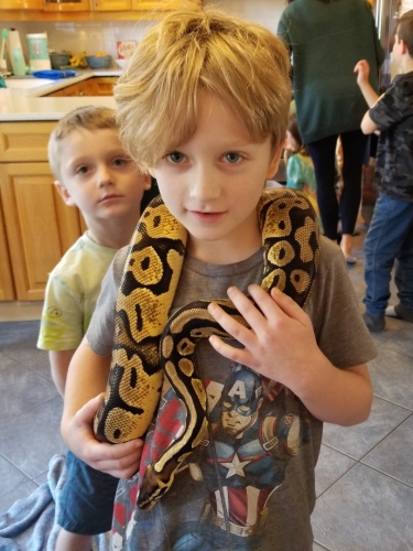 Snake Reptile Birthday Party in Dartmouth, Nova Scotia 20221119 135541