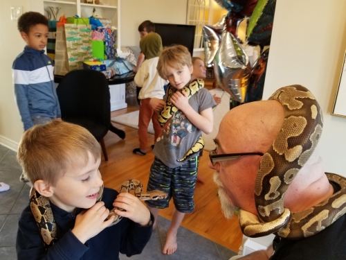 Snake Reptile Birthday Party in Dartmouth, Nova Scotia 20221119 140147