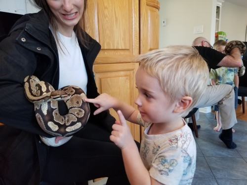 Snake Reptile Birthday Party in Dartmouth, Nova Scotia 20221119 141003