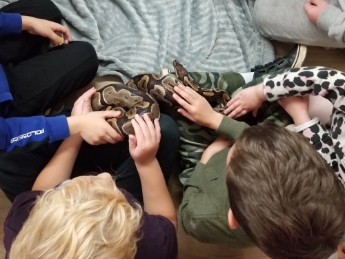 Snake Reptile Birthday Party in Halifax!  20221211 154021