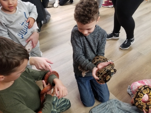 Snake Reptile Birthday Party in Halifax!  20221211 154648