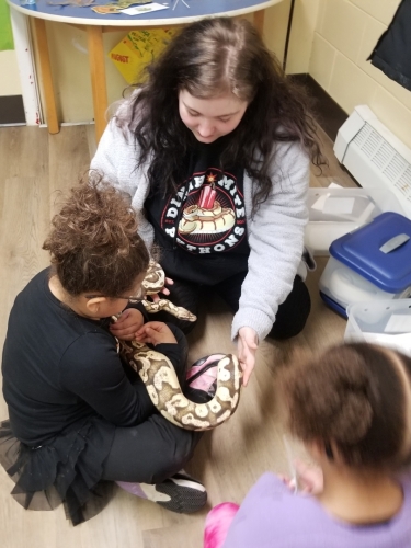 Snake Reptile Birthday Party in Halifax!  20221211 161535