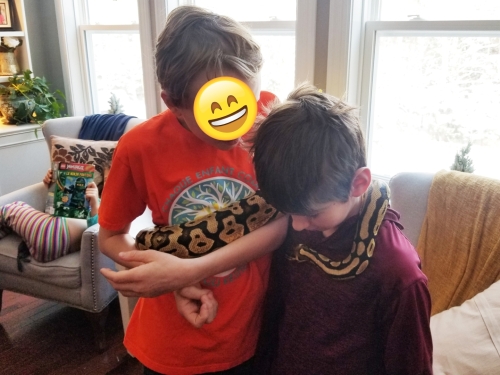 20230218 141256 Kentville Snake Birthday Party