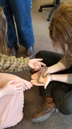 Acadia University Library Student Exam De-stress event 20230411 103506