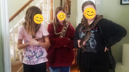 Sackville Nova Scotia Snake Reptile Birthday Party 20230422 134213