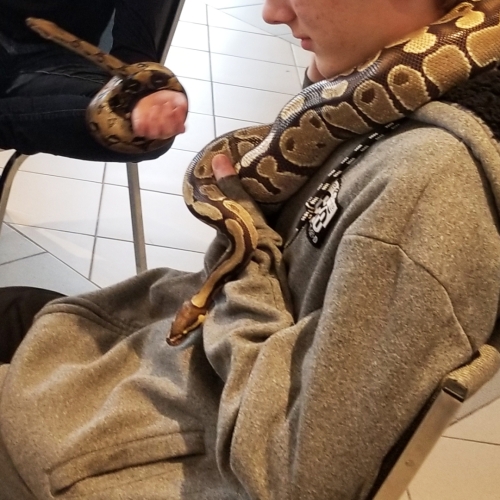 Evangeline Middle School Snake Education 20230503 113259