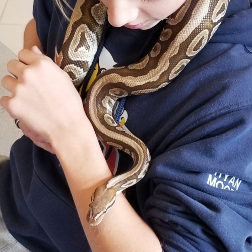 Evangeline Middle School Snake Education 20230503 113454