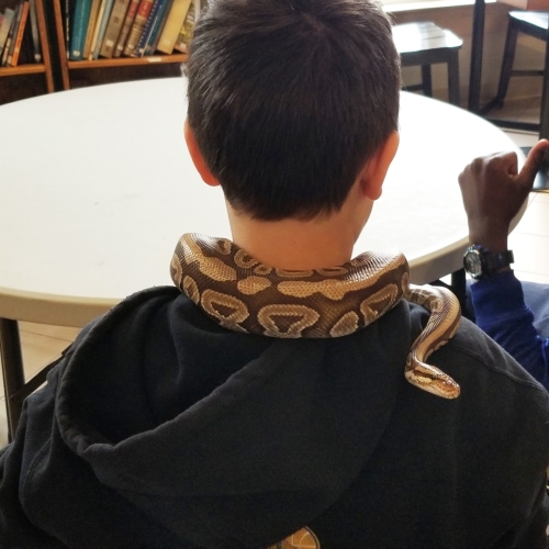 Evangeline Middle School Snake Education 20230503 114018