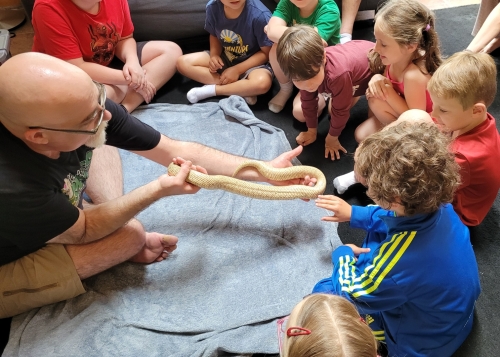 Wolfville Reptile Birthday Party 20230625 142203