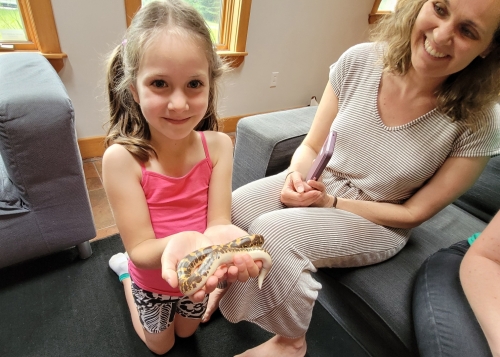 Wolfville Reptile Birthday Party 20230625 145405