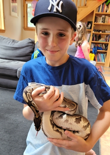 Wolfville Reptile Birthday Party 20230625 1537440