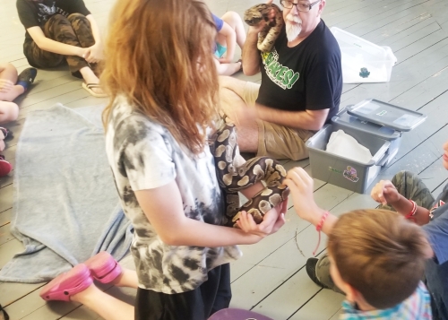 Snakes at Macdonald Museum in Middleton 20230708 103201