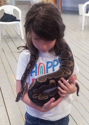 Snakes at Macdonald Museum in Middleton 20230708 104418