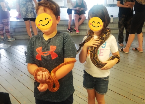 Snakes at Macdonald Museum in Middleton 20230708 104547