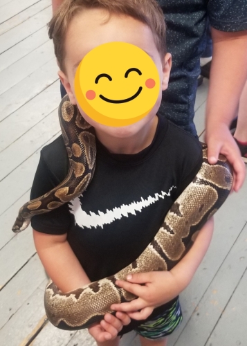 Snakes at Macdonald Museum in Middleton 20230708 105032