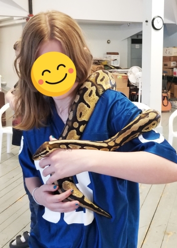 Snakes at Macdonald Museum in Middleton 20230708 110855