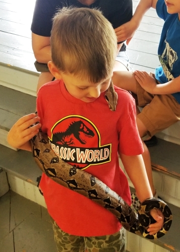 Snakes at Macdonald Museum in Middleton 20230708 112006