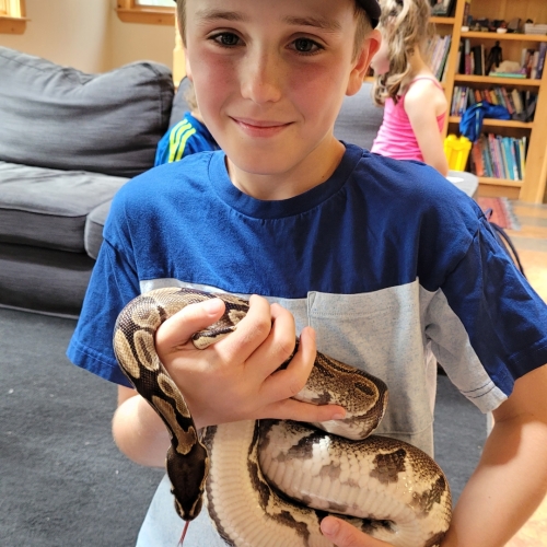 Wolfville Reptile Birthday Party IG20230625 1537440